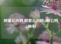 阿里云内网,阿里云内网ip和公网ip映射