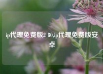 ip代理免费版2 80,ip代理免费版安卓