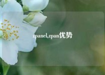 zpanel,zpan优势