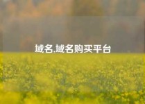 域名,域名购买平台