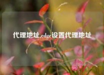 代理地址,edge设置代理地址