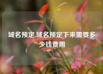 域名预定,域名预定下来需要多少钱费用