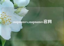 snapnames,snapnames官网