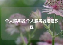 个人服务器,个人服务器搭建教程