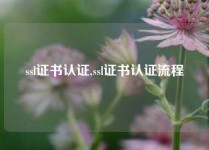 ssl证书认证,ssl证书认证流程