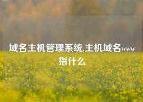 域名主机管理系统,主机域名www指什么