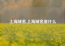 上海域名,上海域名是什么