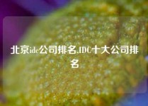 北京idc公司排名,IDC十大公司排名