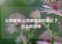 公司邮箱,公司邮箱密码忘记了怎么找回来