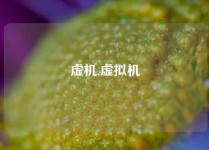 虚机,虚拟机