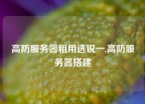 高防服务器租用选锐一,高防服务器搭建