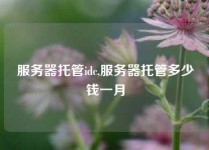 服务器托管idc,服务器托管多少钱一月