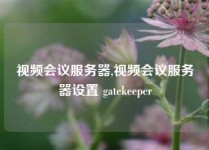 视频会议服务器,视频会议服务器设置 gatekeeper