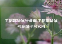 工信部备案号查询,工信部备案号查询平台官网