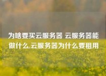 为啥要买云服务器 云服务器能做什么,云服务器为什么要租用