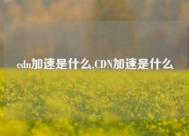 cdn加速是什么,CDN加速是什么