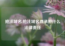 抢注域名,抢注域名要承担什么法律责任