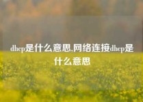 dhcp是什么意思,网络连接dhcp是什么意思