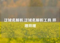 泛域名解析,泛域名解析工具 哔哩哔哩