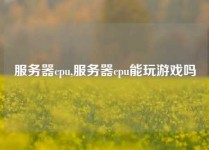 服务器cpu,服务器cpu能玩游戏吗