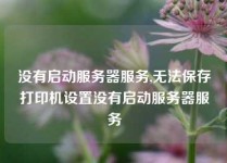 没有启动服务器服务,无法保存打印机设置没有启动服务器服务