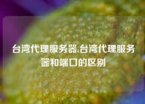 台湾代理服务器,台湾代理服务器和端口的区别