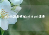 godaddy注册教程,god of gods注册