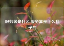 服务器是什么,服务器是什么样子的