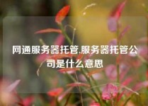 网通服务器托管,服务器托管公司是什么意思