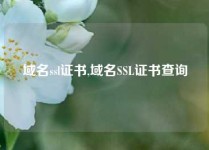 域名ssl证书,域名SSL证书查询