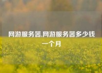 网游服务器,网游服务器多少钱一个月