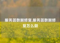 服务器数据修复,服务器数据修复怎么做