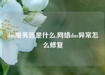 dns服务器是什么,网络dns异常怎么修复
