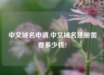 中文域名申请,中文域名注册需要多少钱?