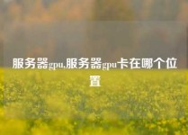 服务器gpu,服务器gpu卡在哪个位置