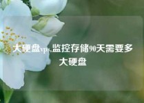 大硬盘vps,监控存储90天需要多大硬盘