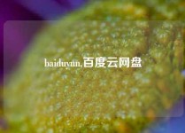 baiduyun,百度云网盘