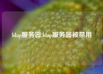 ldap服务器,ldap服务器被禁用