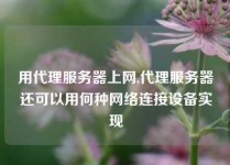 用代理服务器上网,代理服务器还可以用何种网络连接设备实现