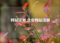 网站注册,企业网站注册
