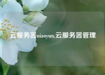 云服务器niaoyun,云服务器管理