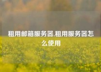 租用邮箱服务器,租用服务器怎么使用