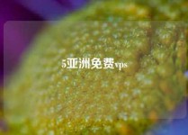 5亚洲免费vps