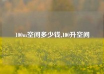 100m空间多少钱,100升空间