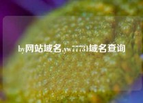 by网站域名,yw77731域名查询