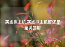 买虚拟主机,买虚拟主机好还是服务器好