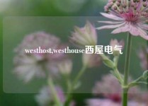 westhost,westhouse西屋电气