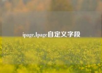 ipage,Ipage自定义字段