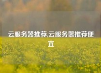 云服务器推荐,云服务器推荐便宜