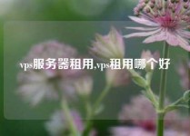vps服务器租用,vps租用哪个好